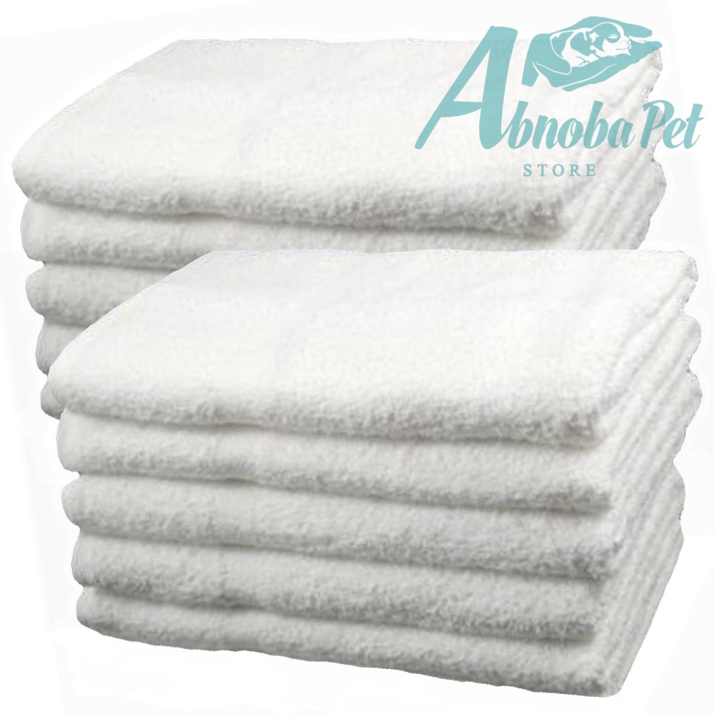 10 x Small White cotton Towels Perfect size for whelping puppies and kittens
