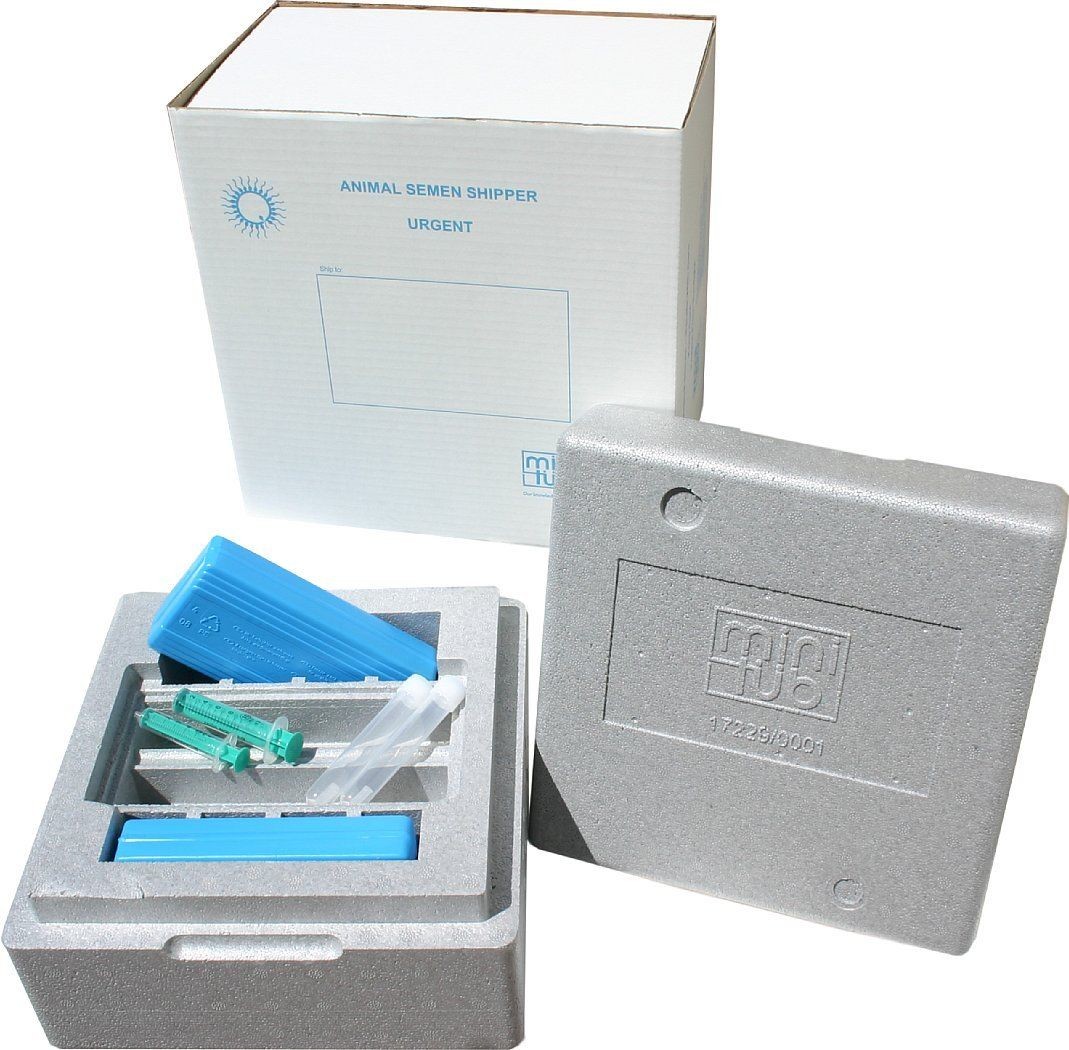 Minitube Transport Box for chilled dog semen, Neopor - 45 hours