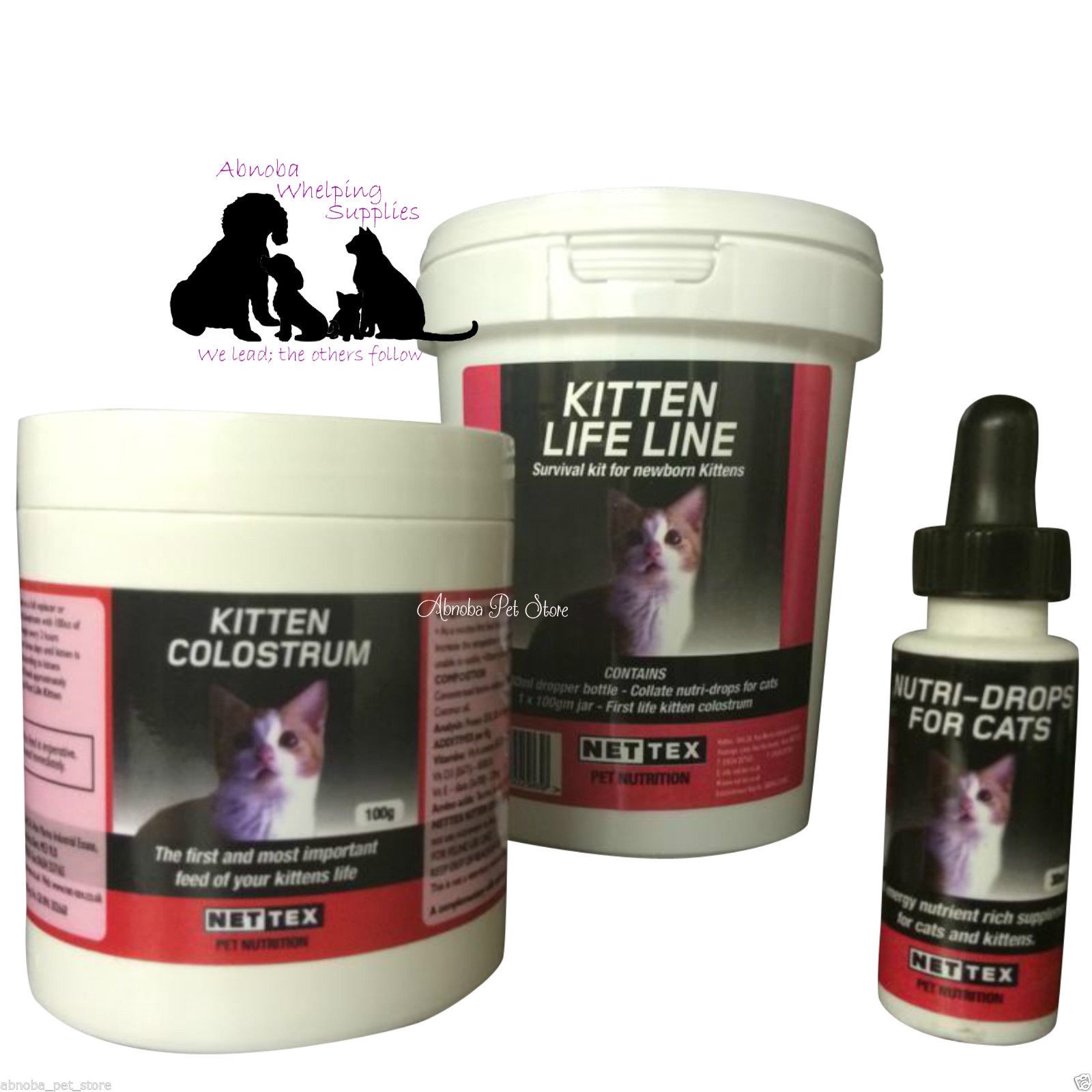 colostrum for cats