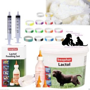 Beaphar Lactol Puppy Milk 250g & Feeding set