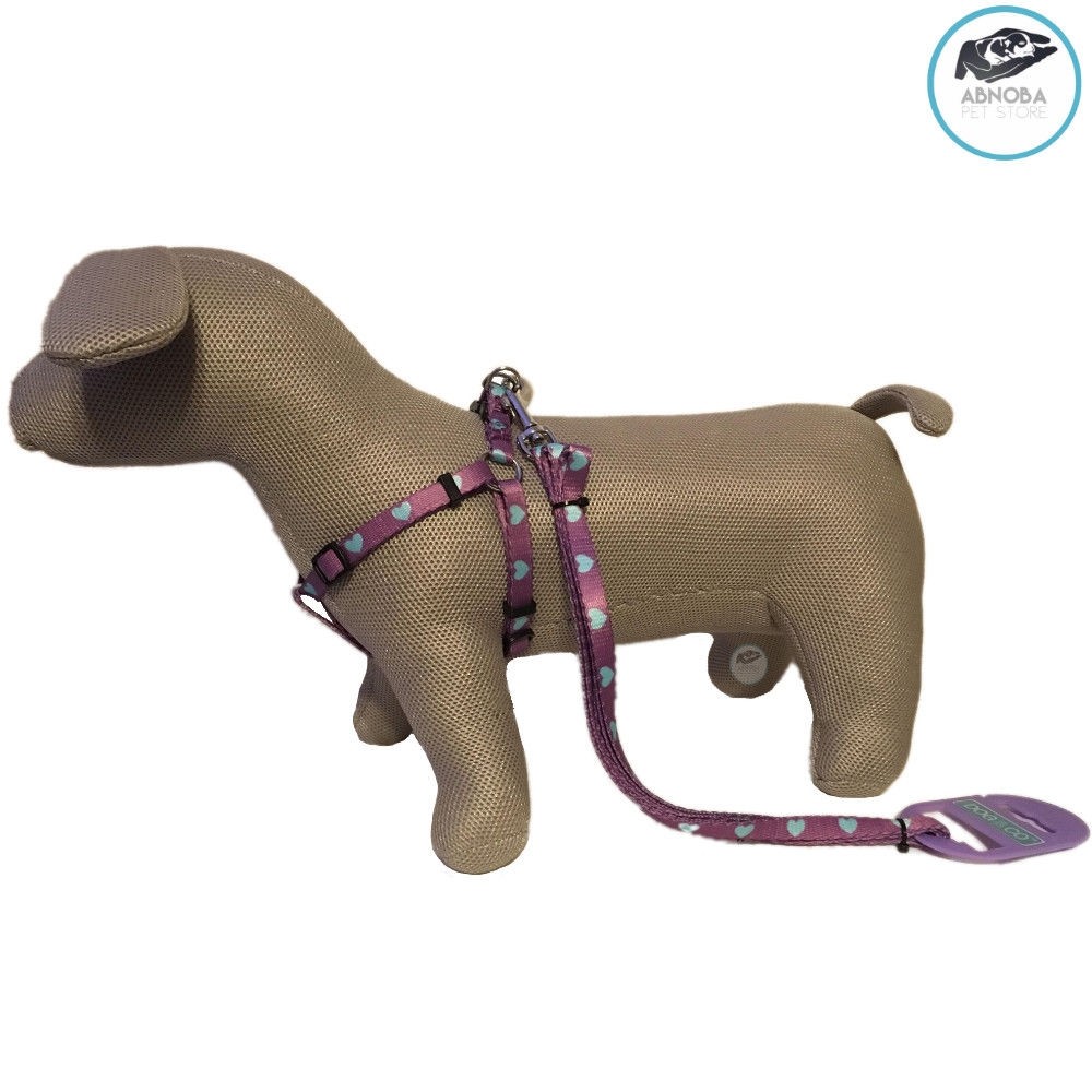 Extra Small / Toy Dog / Puppy Hearts Purple & Aqua Lead & Harness Set 28-38cm 