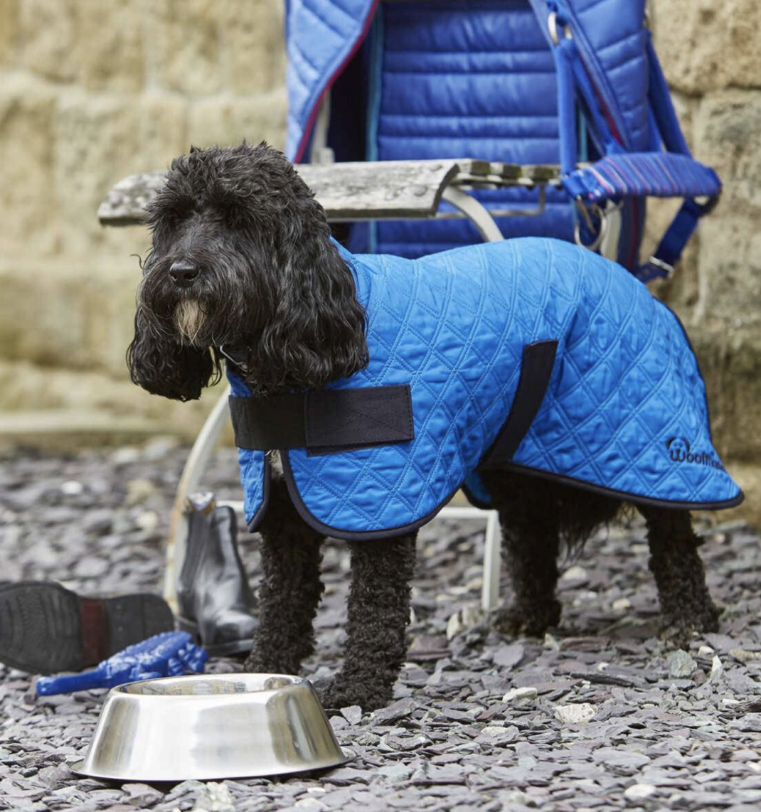 Woofmasta Cooling Coat Blue - 20" keep dogs cool in hot weather highly absorbent