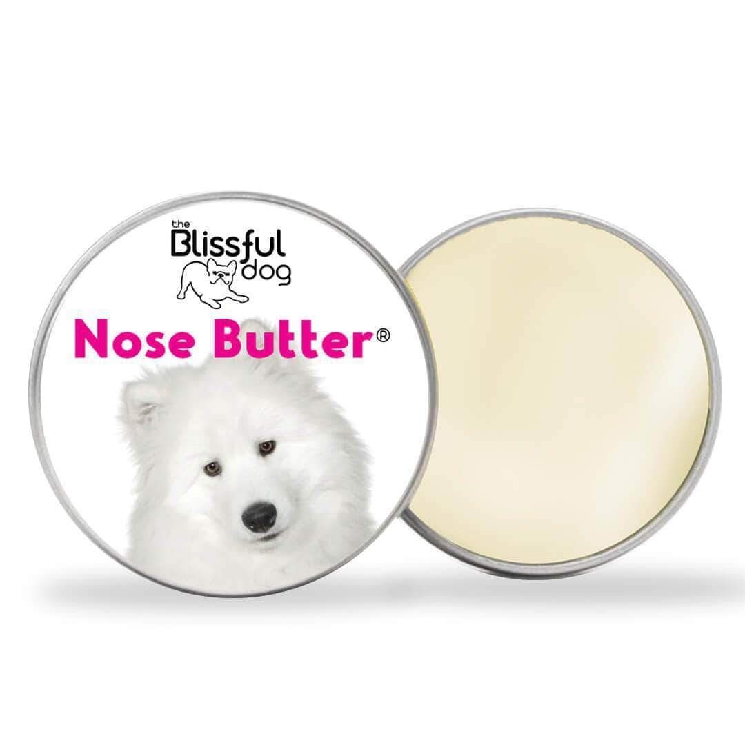 Samoyed nose top