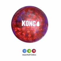 Kong Large Squeezz® Geodz 2-pk Squeaker & Crackle sounds & floats Dog fetch Toy