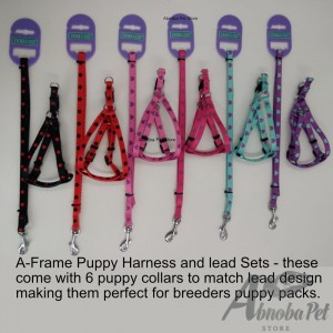 6 Puppy Whelping Collars & 6 matching lead and harness sets (3 Hearts & 3 Stars Design) 