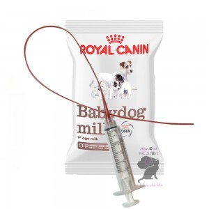 3.5F Sterile Feeding Tube & Syringe with 100g Royal Canin Babydog Milk