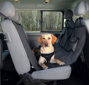 Protective Back Car Seat Cover