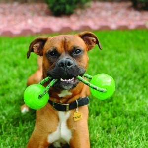 KONG Large Squeezz® Ball with handle is a great dog toy for fetch with squeaker