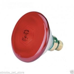 Philips High Efficiency 175W Infra Red Heat Lamp