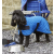 Woofmasta Cooling Coat Blue - 20" keep dogs cool in hot weather highly absorbent