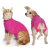 VetMedWear Pink Recovery Suit After Surgery dog Wound Protect Post whelping S
