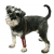 DogEase-Leg Sleeve front leg injury stop licking wound can use with dressing XS