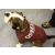 DogEase Pet Medical Bodysuit Anxiety Free Post Whelping Comfortable Reusable XXL